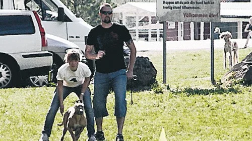 Starten är ett viktigt moment i Lure Coursing. Här syns det hur hunden ger järnet från start och hela vägen in till mål.