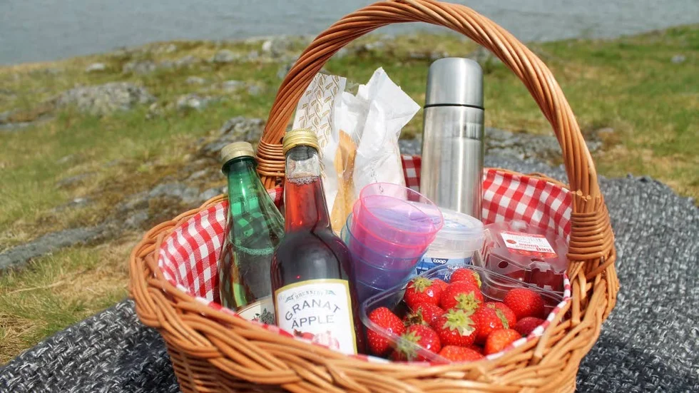 Dags att damma av picnic-korgen?