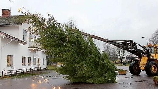 För första gången på över tio år kom en gran på plats utanför stationshuset.