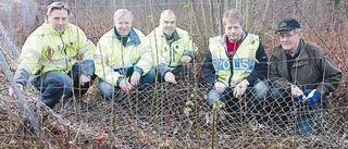 Nytt stängsel ska stoppa vildsvinen