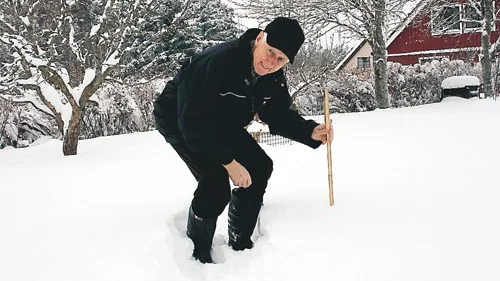 När Lars-Olof Svensson mätt snödjupet i slutet av januari i år kom han fram till ett snitt på 50 centimeter. Nu kan han lägga på ytterligare 30 cm. Därmed passerar snödjupet med råge det gamla rekordet i "modern" tid från 2006, som var 54 cm. Men det är en rejäl bit kvar till vargavintern 1965-66.