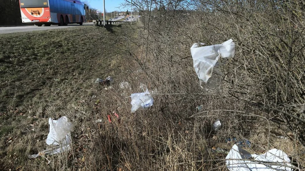 Plastskräp. Någonstans kommer plasten ifrån. Sedan virvlar den i väg och fastnar. Som här, längs Brokindsleden, i närheten av Emmalunds koloniområde.