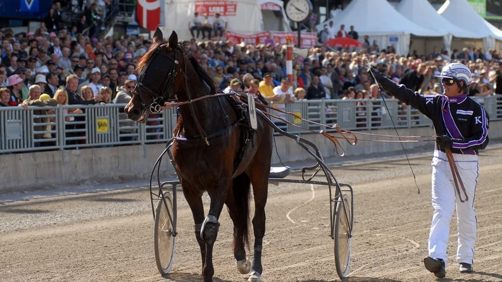 Västerbo Paradise och Kent Knutsson tackar för publikens ovationer framför e-läktaren på Solvalla i söndags.