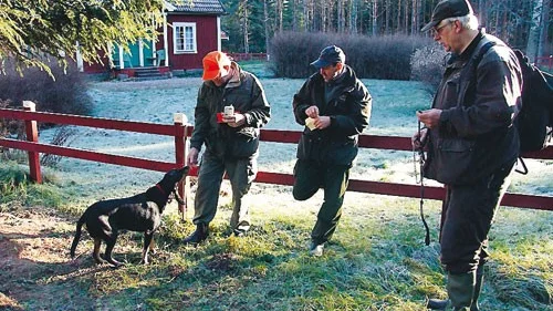 Aydon har kommit tillbaka efter 66 minuters jakt och hälsas av kommissarien Folke Pettersson, domaren Stig Linder och husse Gunnar Lund.