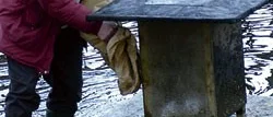 Miljöpristagare in action