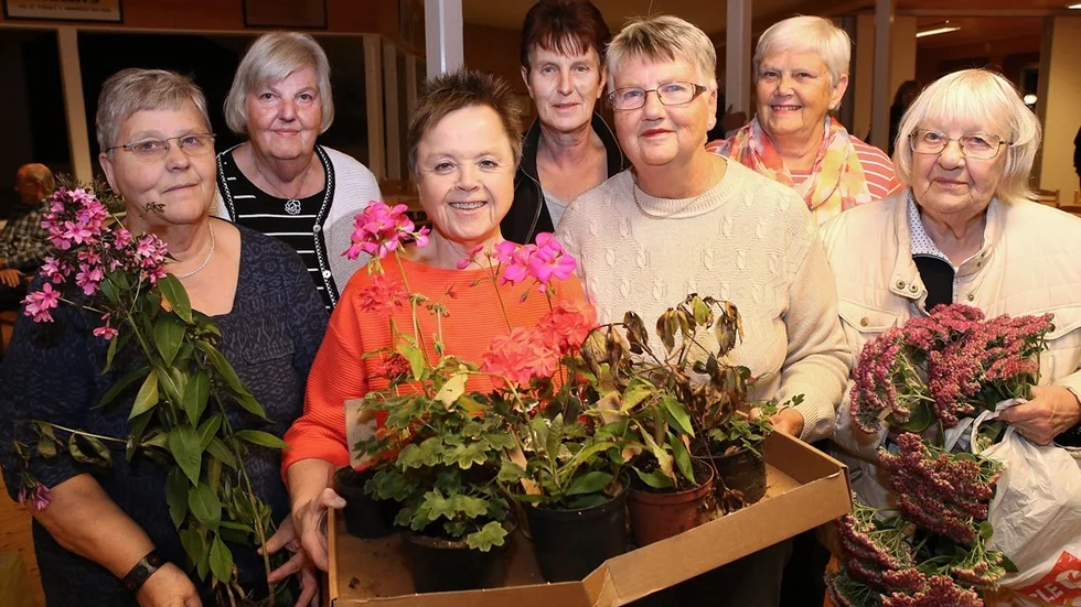 Styrelsen i Vimmerby Hemträdgårdsförening, från vänster, Christina Karlsson sekreterare, Inga-Britta Engdahl, Ann-Britt Arvidsson ordförande, Ann Ankarberg, Mona Kennefors kassör, Sigyn Karlsson och Britta Lejon. Foto: Roelof Stroetinga