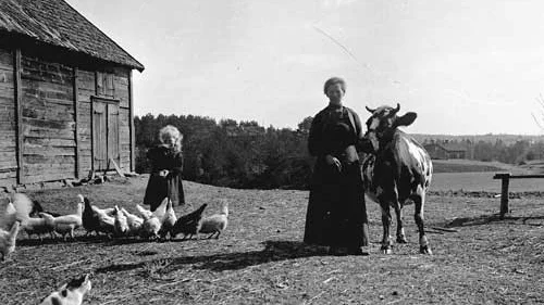 Olivia Nordén (född Lindberg) håller en av familjens kossor. Dottern Vivan matar hönsen. Foto: Vimmerby Digitala Bildarkiv