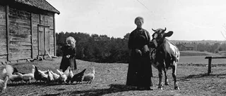 Djurens kroppar till nöd och nytta