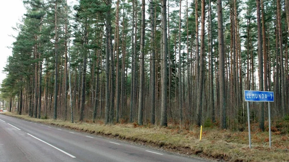 Här hoppas kommunen att det ska bli bostäder.