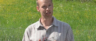 Så ska havsvikarnas miljö förbättras