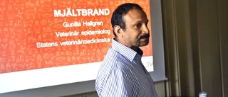 Oro efter fler mjältbrandsfall