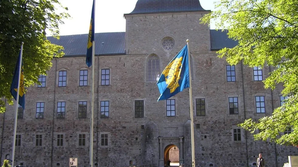 Janus blickar både bakåt och framåt och passar därför bra som symbol för Riksarkivet.