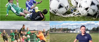 De spelarna tog plats i profilernas drömelvor