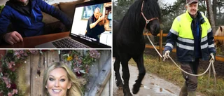 Mats kärleksäventyr i tv: "Jag är fortfarande singel"