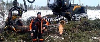 Skogsarbetare ser problem med mer metall i träden