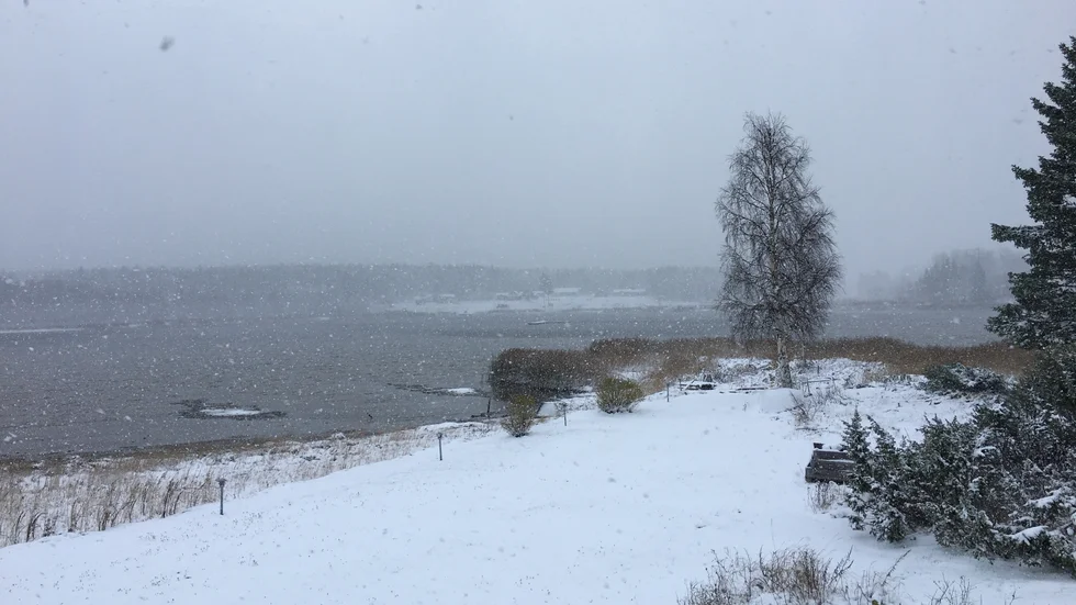 Snön har anlänt.