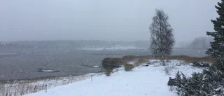 Läsarbilden                    