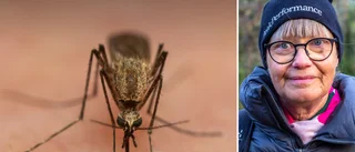 Nya plågan: Bekämpning är inte aktuellt