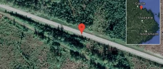 Fallna träd skapar problem i trafiken på väg 76