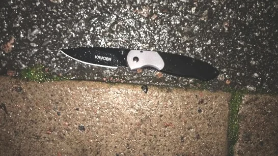 Gärningsmannens kniv hittades på marken i närheten av brottsplatsen. 
