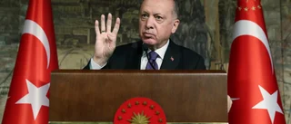 Skådespelare "förolämpade Erdogan" – frias