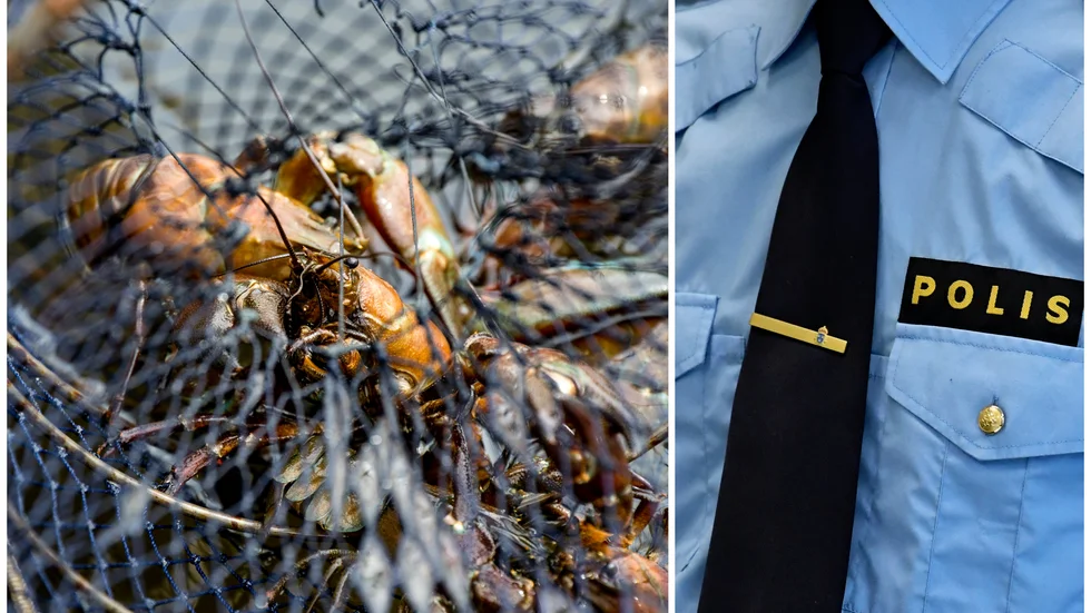 Allmänhetens kräftfiske i Vättern har startat. Under helgen beslagtogs en mängd olagliga fiskeredskap.