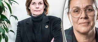 Miljöpartiet på Gotland om Lövins avgång: "Ett ödesval"