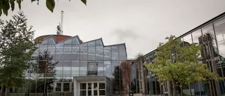Stenhammarskolan söker ny rektor