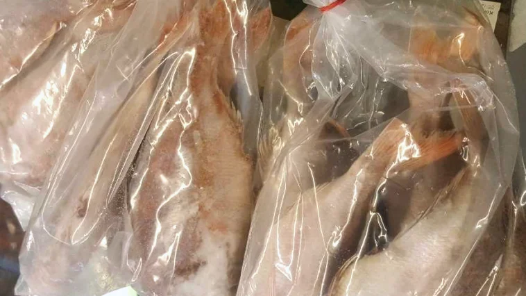 Fisk i frysdisken, men vilken art var oklart. Påsarna saknade livsmedelsinformation helt och hållet.