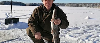 Experten tipsar: Så här kan du njuta av isarna