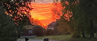 Läsarbilden                   