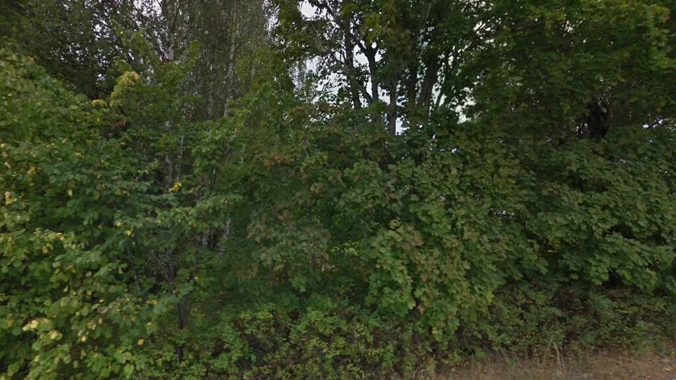 Bergs Väg 12