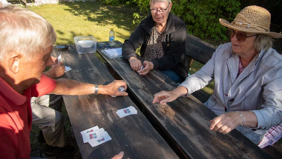 Glada bräusspelare.