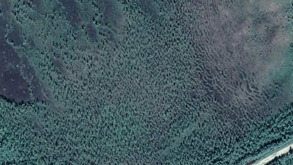 Området kring Lillberget 4C