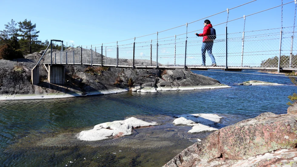 Hängbroarna som förbinder en rad öar i Stendörrens naturreservat svajar när man går på dem.
