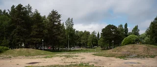 Bilden                         