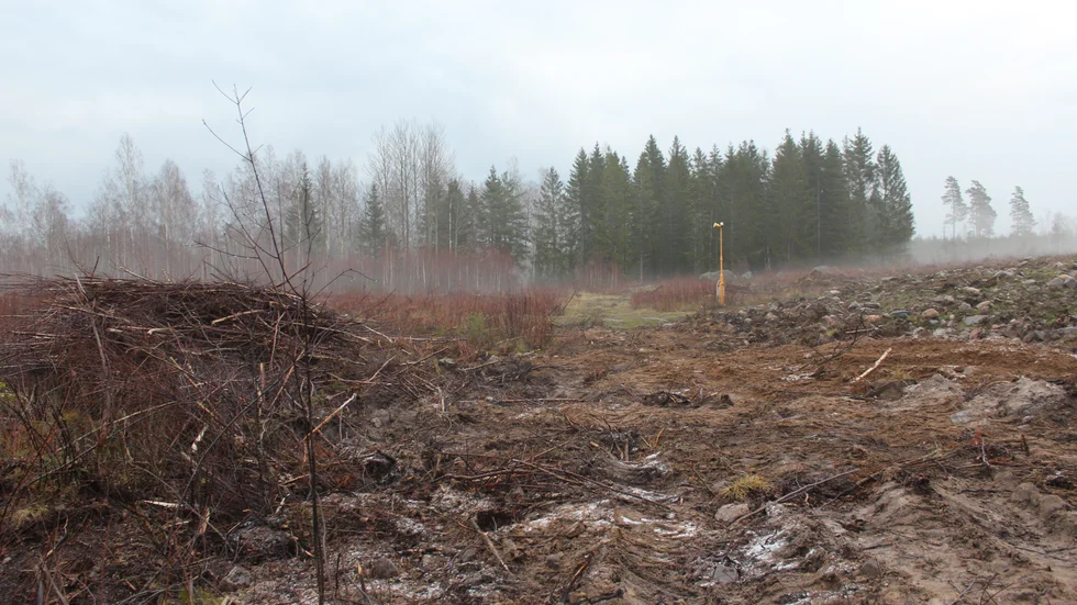 Såhär ser det ut i bortre delen av det område där flygplatsen gränsar till privat mark.