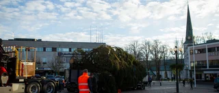  Här kommer årets julgran till torget i Motala