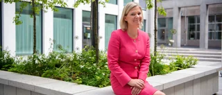 Regeringen passar på under pandemin