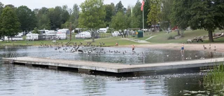 Utmärkt badvatten – men risk för algblomning