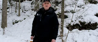 Så många lodjur får skjutas nästa år • Spåraren Roger: "Det finns lodjur nästan överallt"