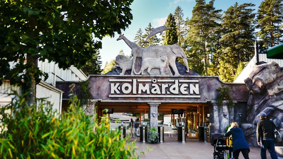 Kolmårdens djurpark siktar på att slå upp portarna i påskhelgen.