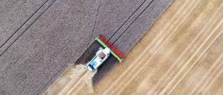 Se till att gödsla mer för klimatet
