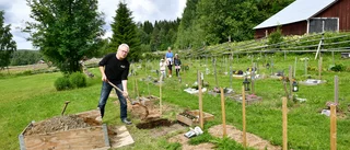 En fridfull viloplats för våra fyrfota vänner