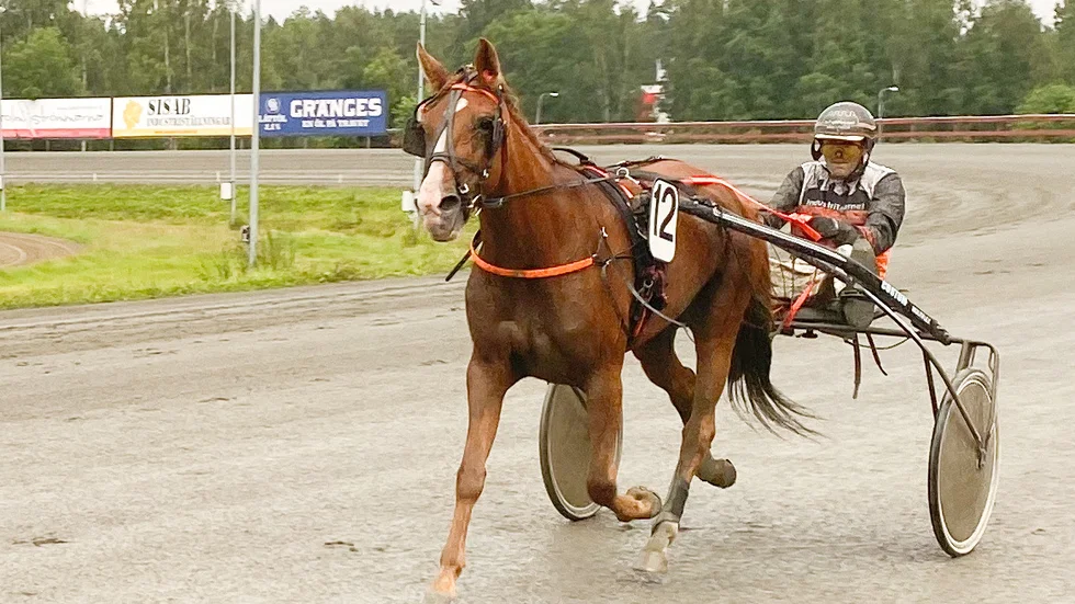 Ove A Lindqvist segerdefilerar med Moogie.