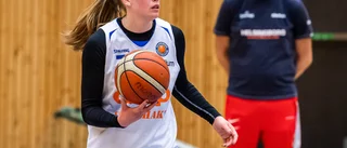 Uttagen i landslaget – före klivet till Luleå Basket