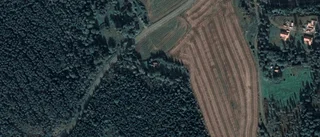 Nya ägare till stuga i Fjärdhundra - 1 610 000 kronor blev priset