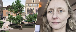 Ratat centrumförslag kostade halv miljon
