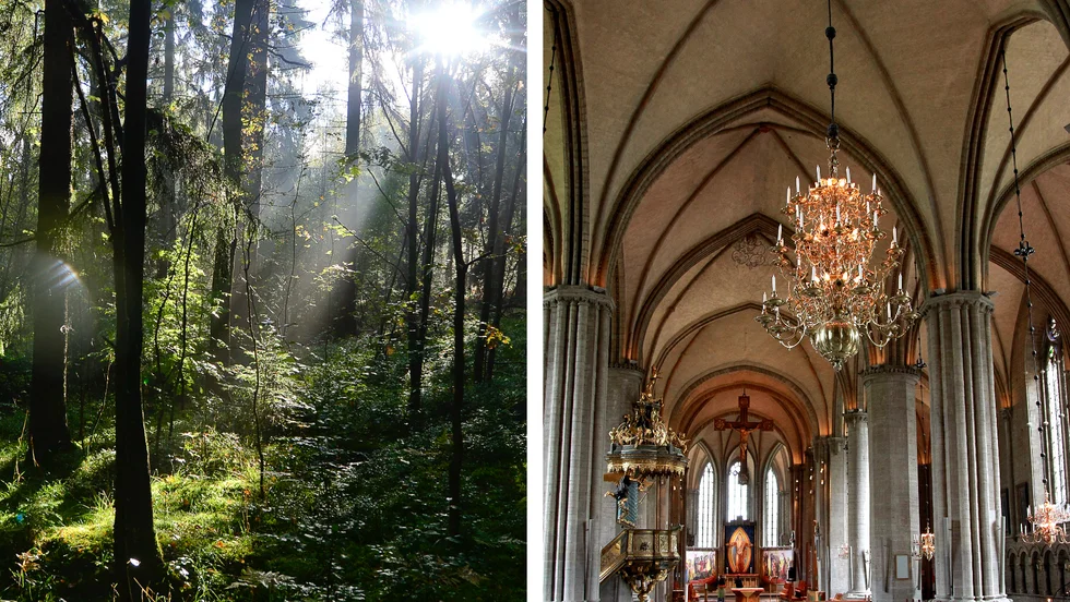 "Gud bor lika mycket i skogen, mellan trädstammarna och under lövkronorna, som mellan pelarna och under stenvalven i vår vackra domkyrka", skriver artikelförfattaren.
