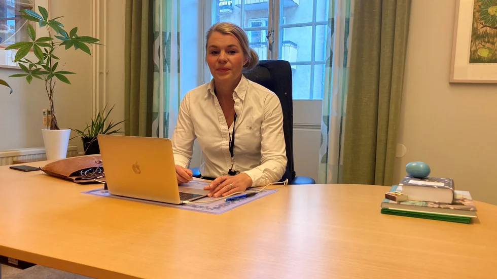 Oppositionsrådet Sophia Jarl vill stimulera näringslivet i ännu högre grad än den styrande koalitionen i Norrköping.